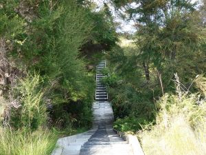 Cape Kidnappers 3rd Tips Steps